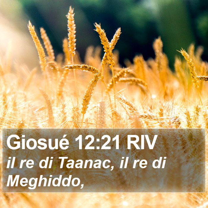 Giosué 12:21 RIV Bible Study