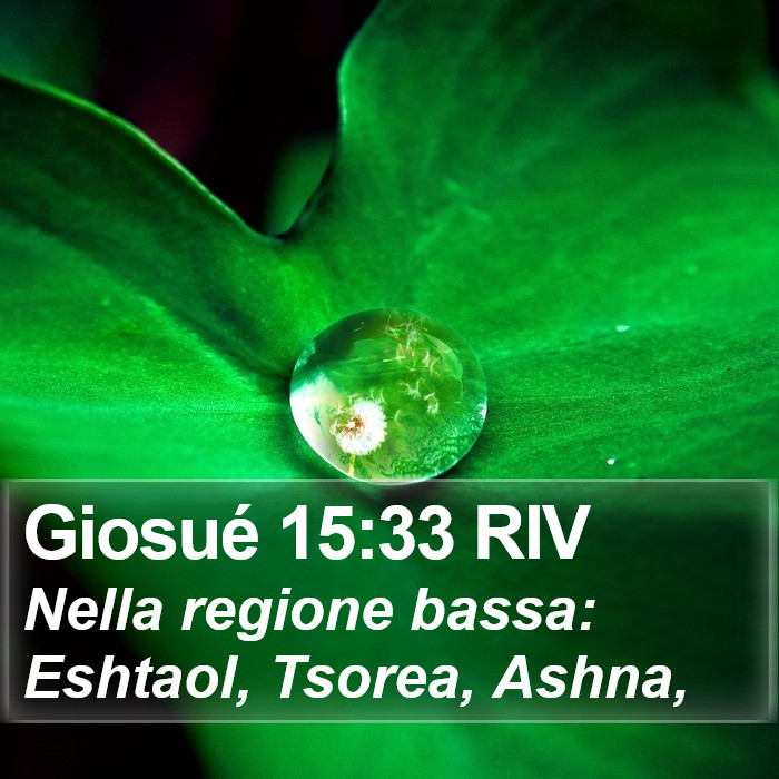 Giosué 15:33 RIV Bible Study