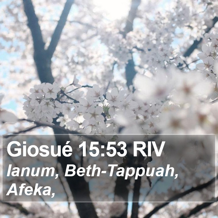 Giosué 15:53 RIV Bible Study