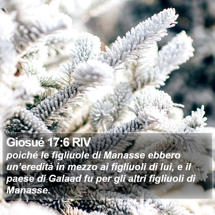 Giosué 17:6 RIV Bible Study