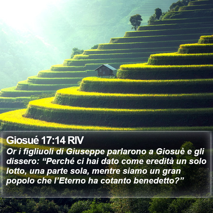 Giosué 17:14 RIV Bible Study