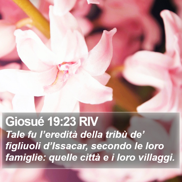 Giosué 19:23 RIV Bible Study