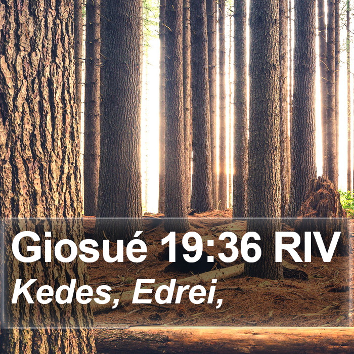 Giosué 19:36 RIV Bible Study