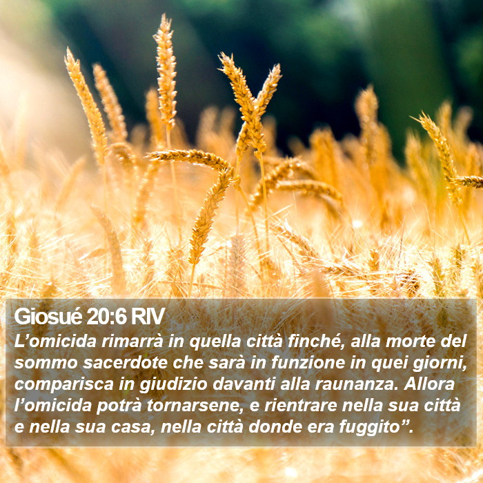 Giosué 20:6 RIV Bible Study