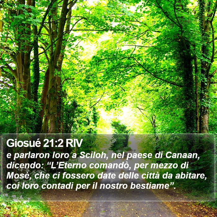 Giosué 21:2 RIV Bible Study