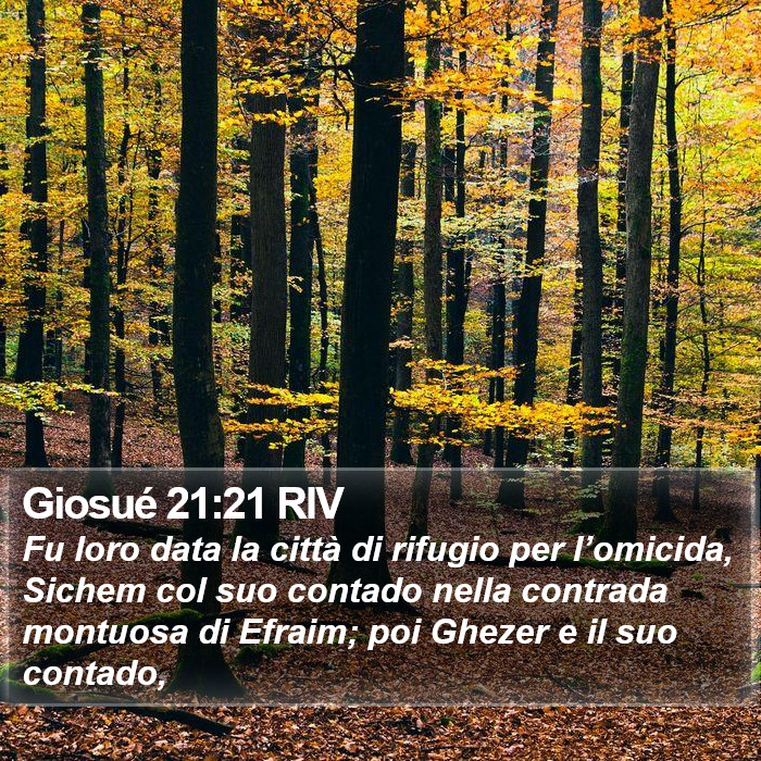 Giosué 21:21 RIV Bible Study