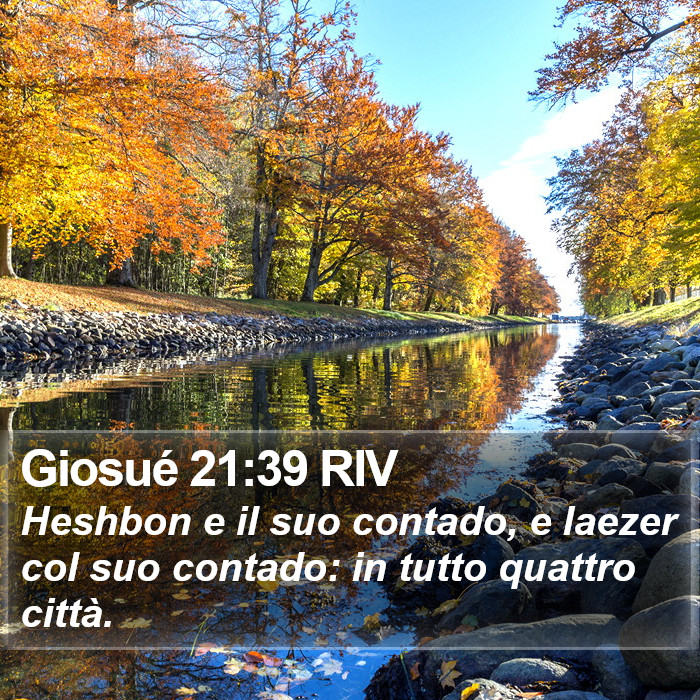 Giosué 21:39 RIV Bible Study