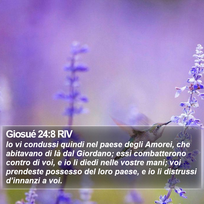 Giosué 24:8 RIV Bible Study