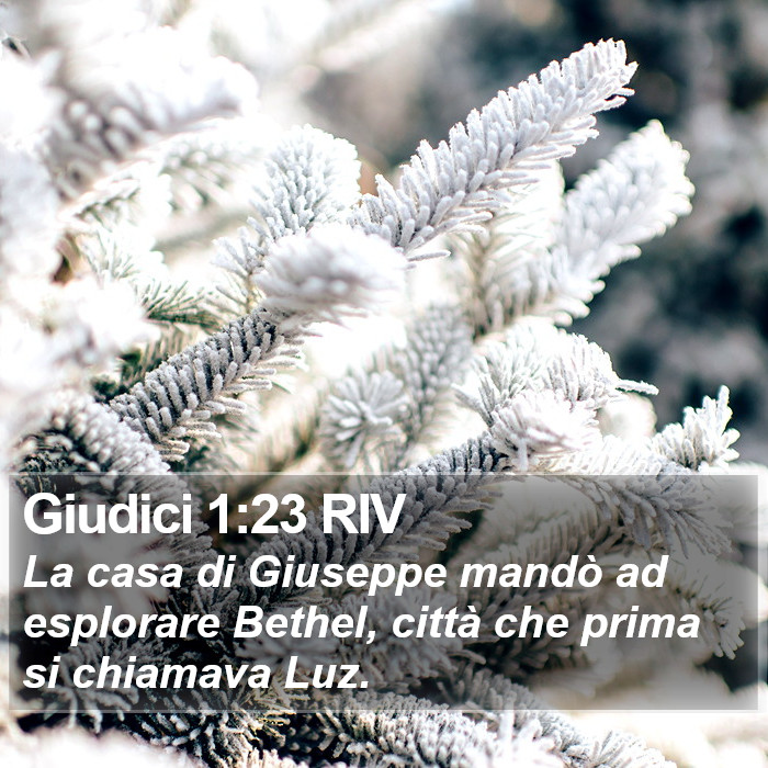 Giudici 1:23 RIV Bible Study