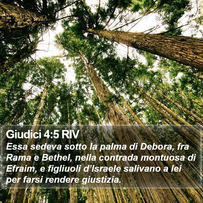 Giudici 4:5 RIV Bible Study