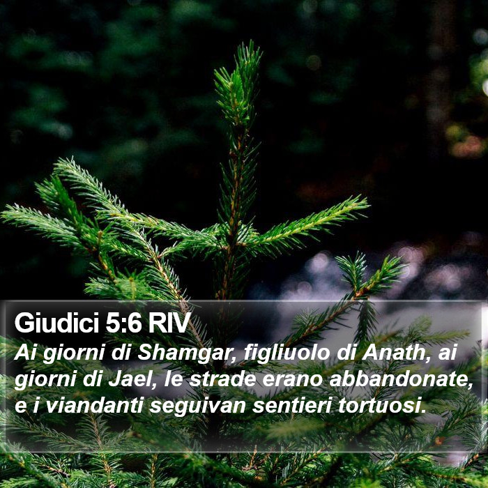 Giudici 5:6 RIV Bible Study