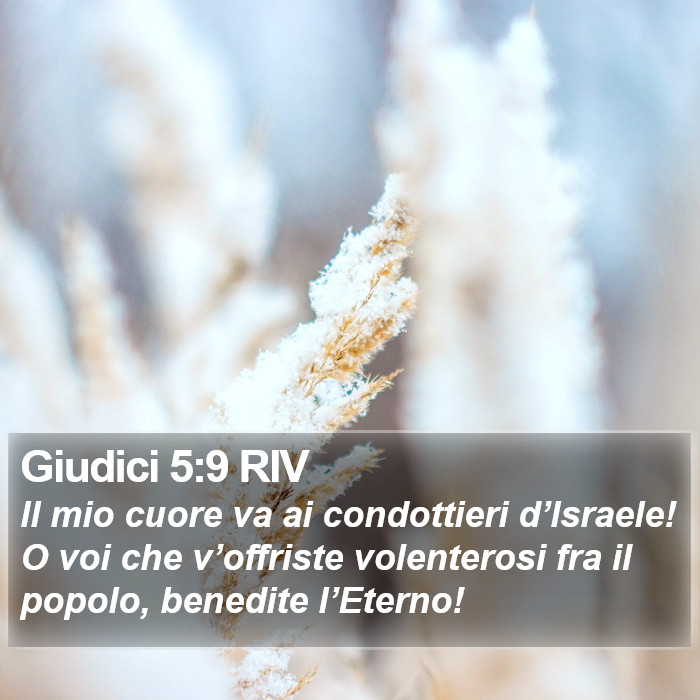 Giudici 5:9 RIV Bible Study