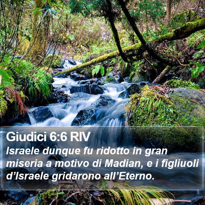 Giudici 6:6 RIV Bible Study