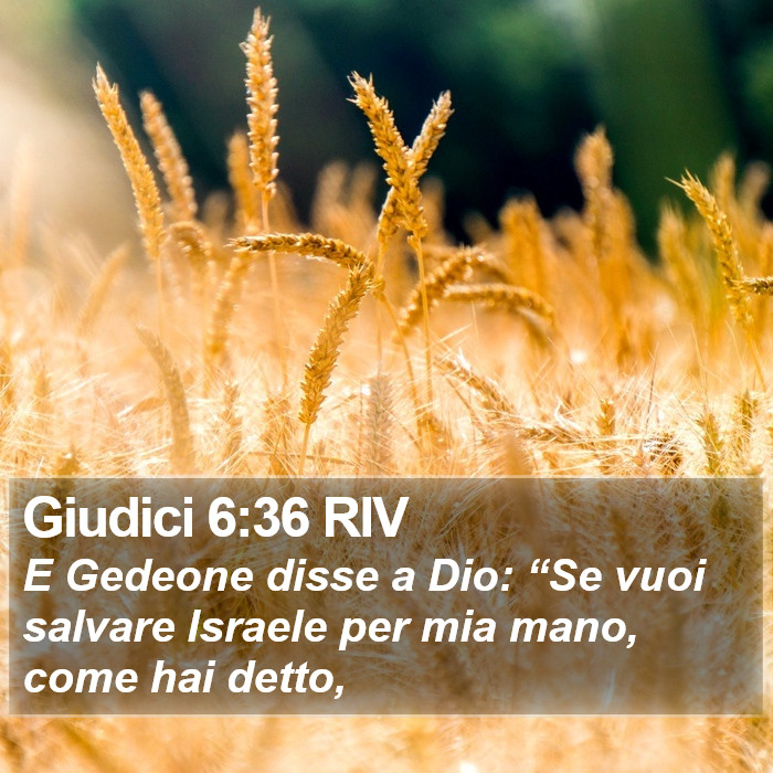 Giudici 6:36 RIV Bible Study