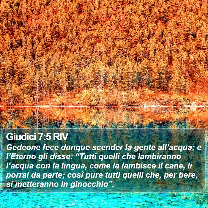 Giudici 7:5 RIV Bible Study