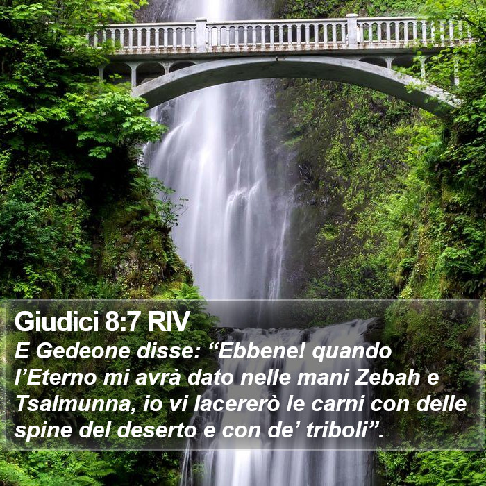 Giudici 8:7 RIV Bible Study