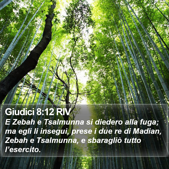 Giudici 8:12 RIV Bible Study