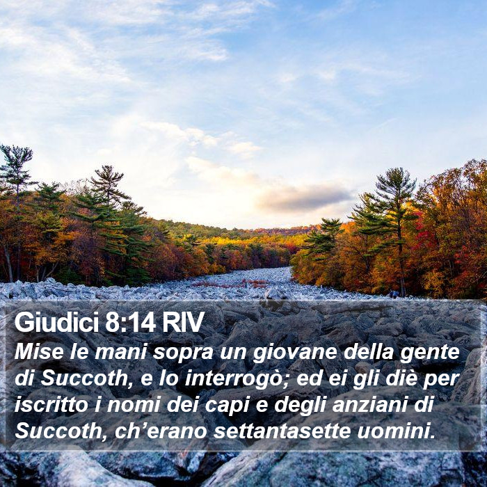 Giudici 8:14 RIV Bible Study