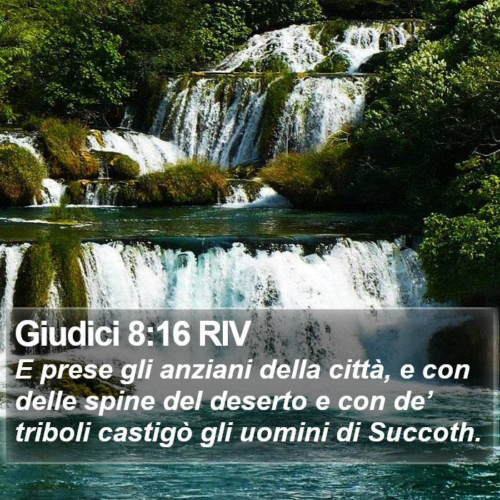 Giudici 8:16 RIV Bible Study