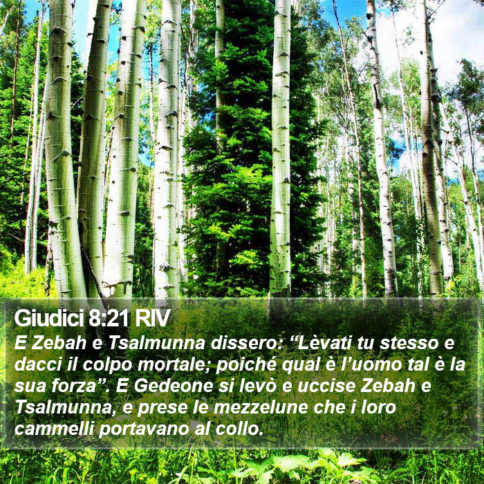 Giudici 8:21 RIV Bible Study