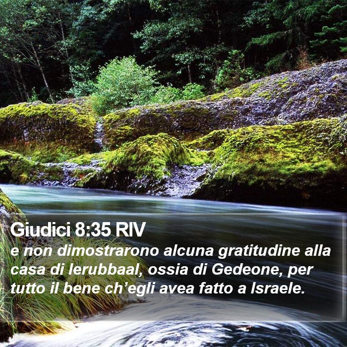 Giudici 8:35 RIV Bible Study