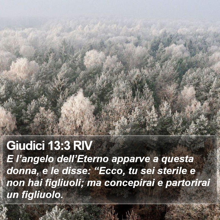 Giudici 13:3 RIV Bible Study