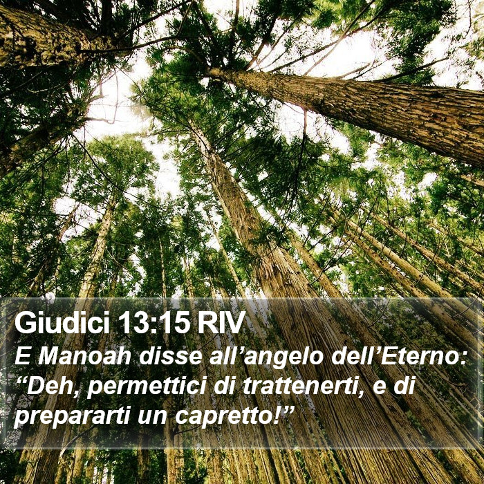 Giudici 13:15 RIV Bible Study