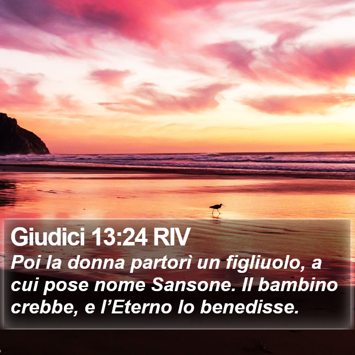 Giudici 13:24 RIV Bible Study