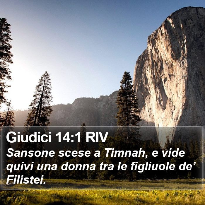 Giudici 14:1 RIV Bible Study