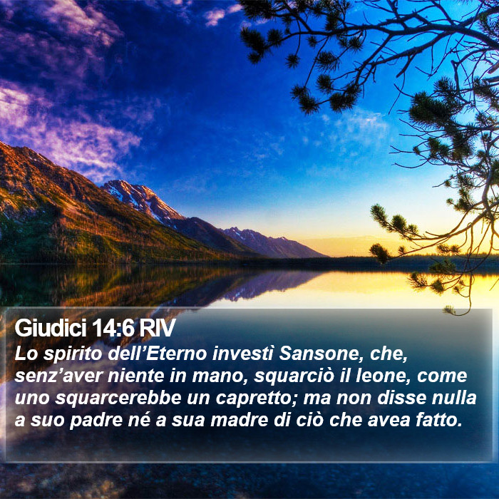 Giudici 14:6 RIV Bible Study