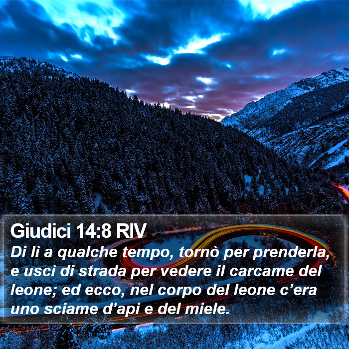 Giudici 14:8 RIV Bible Study