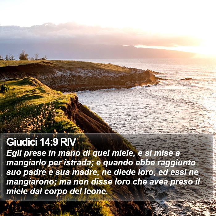 Giudici 14:9 RIV Bible Study