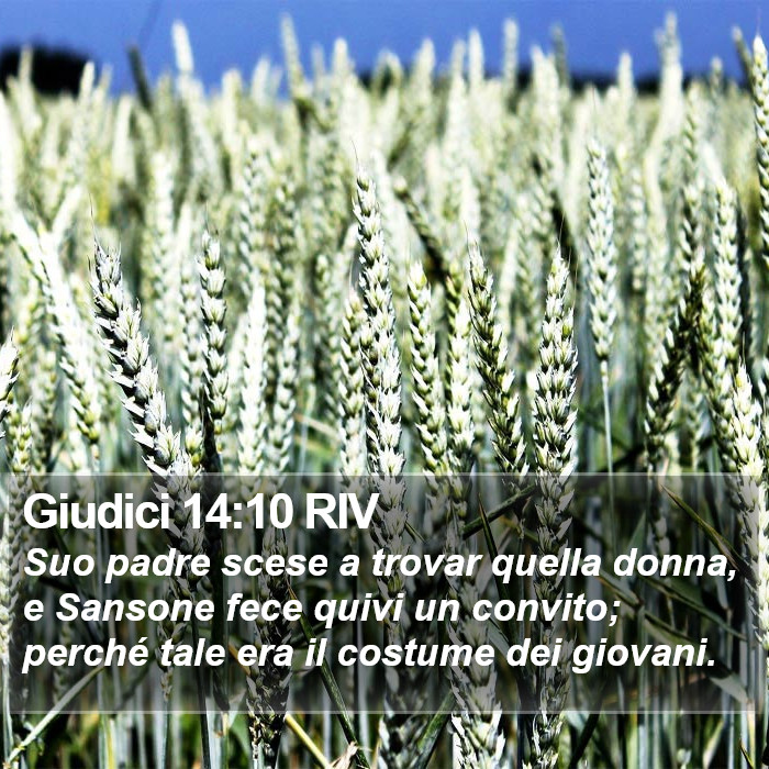 Giudici 14:10 RIV Bible Study