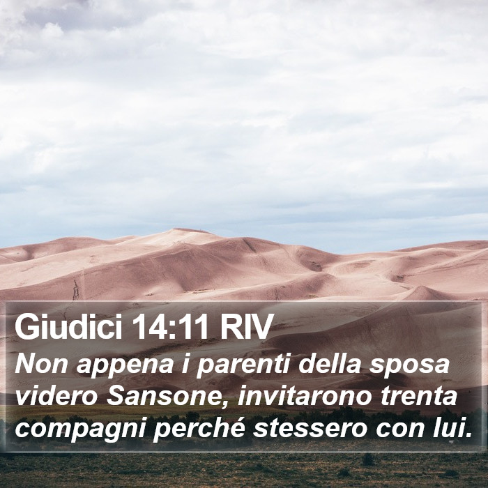 Giudici 14:11 RIV Bible Study