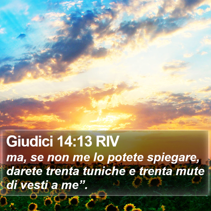 Giudici 14:13 RIV Bible Study