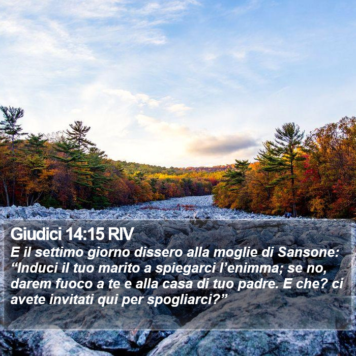 Giudici 14:15 RIV Bible Study