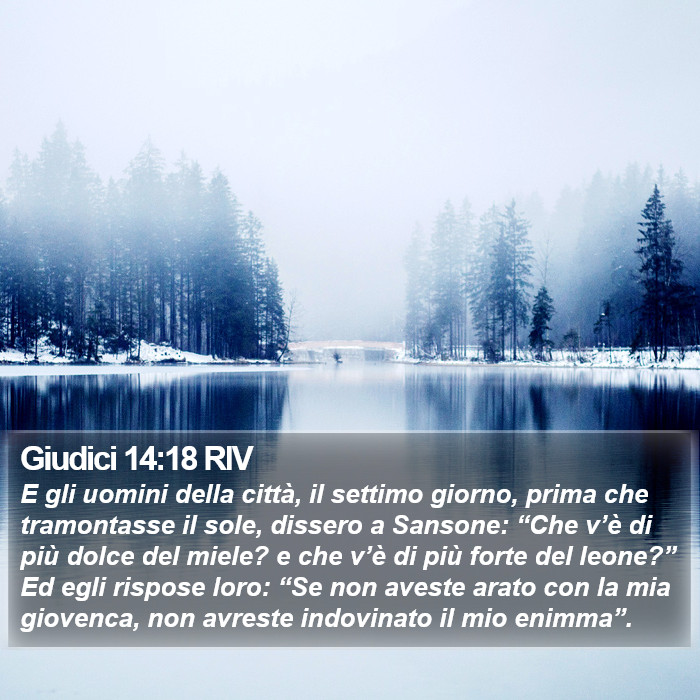 Giudici 14:18 RIV Bible Study