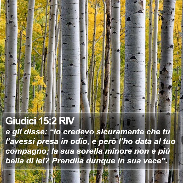 Giudici 15:2 RIV Bible Study