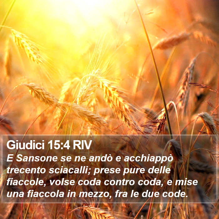 Giudici 15:4 RIV Bible Study