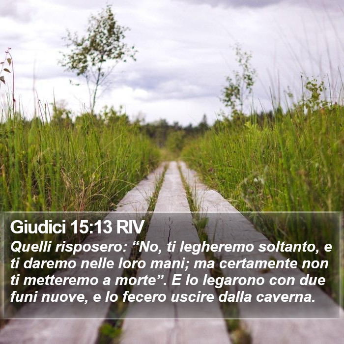 Giudici 15:13 RIV Bible Study