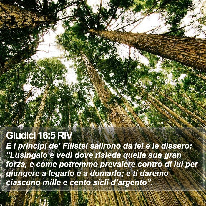 Giudici 16:5 RIV Bible Study