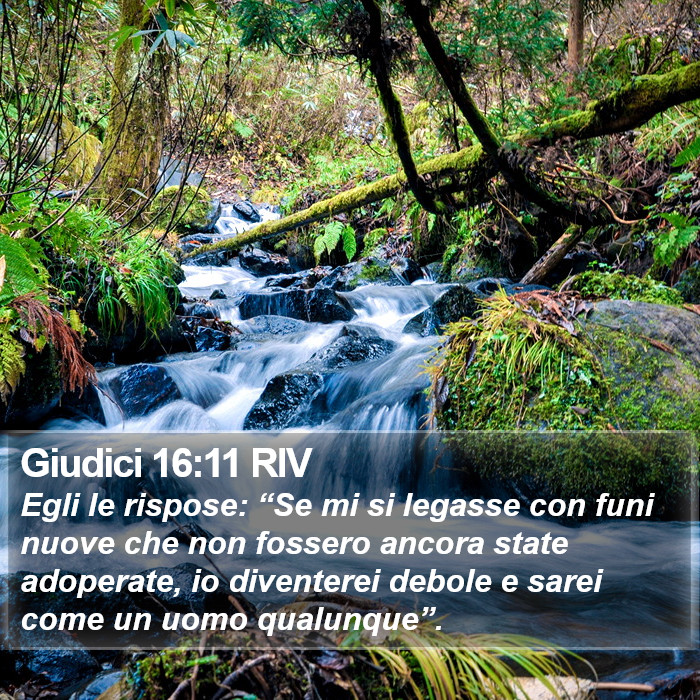 Giudici 16:11 RIV Bible Study