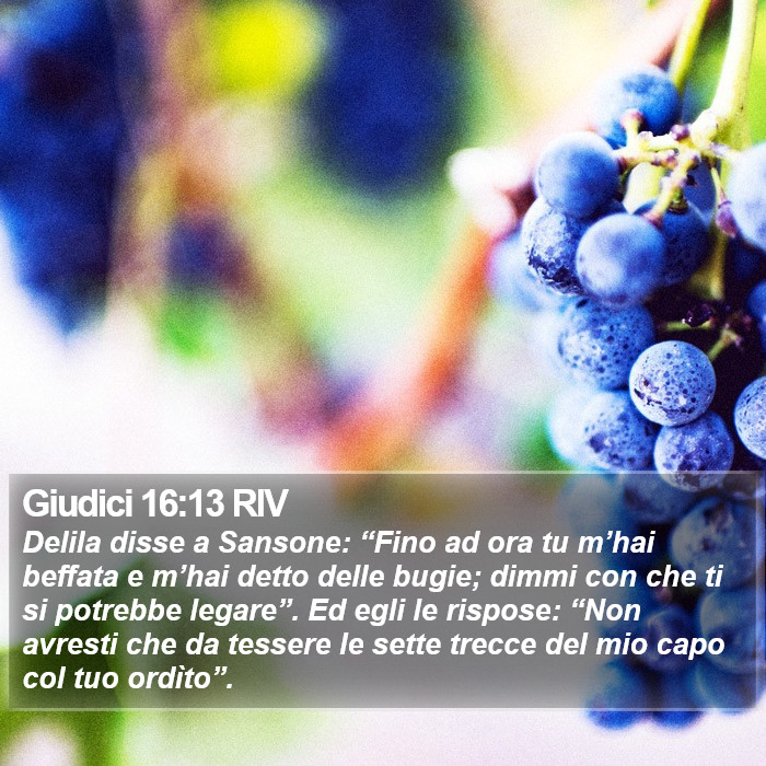 Giudici 16:13 RIV Bible Study