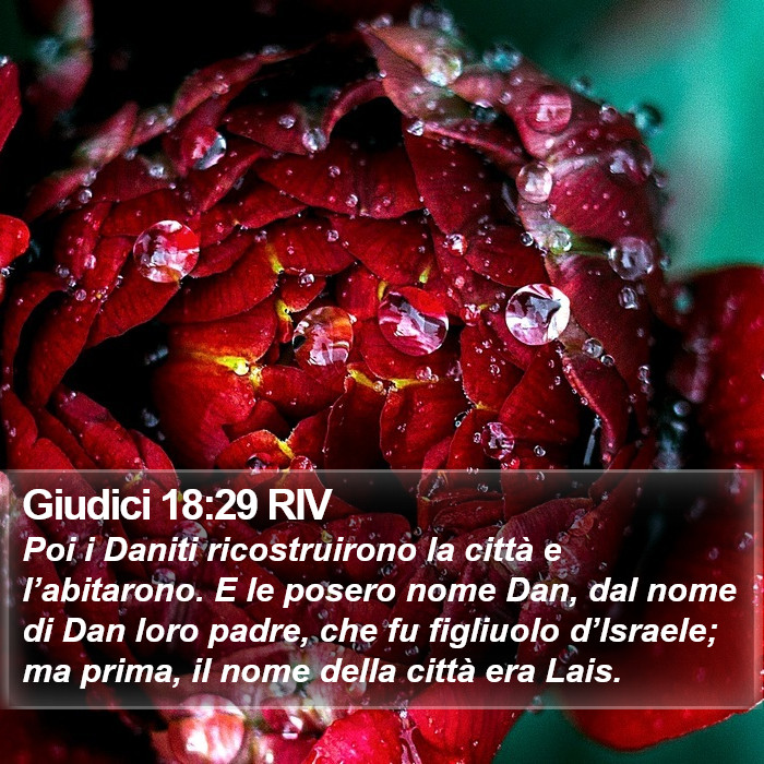 Giudici 18:29 RIV Bible Study