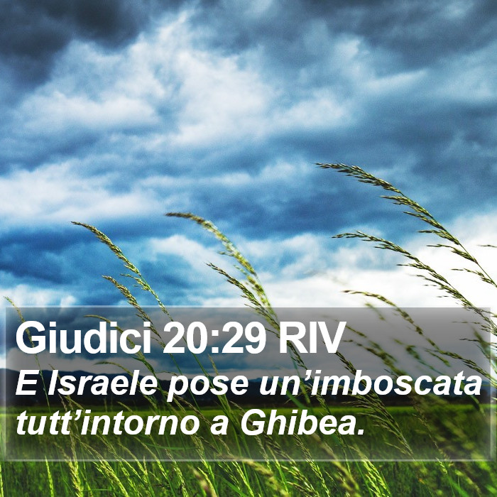 Giudici 20:29 RIV Bible Study