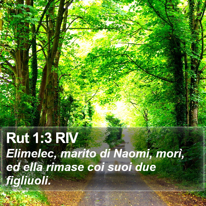 Rut 1:3 RIV Bible Study