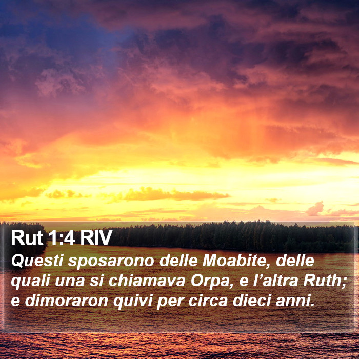 Rut 1:4 RIV Bible Study