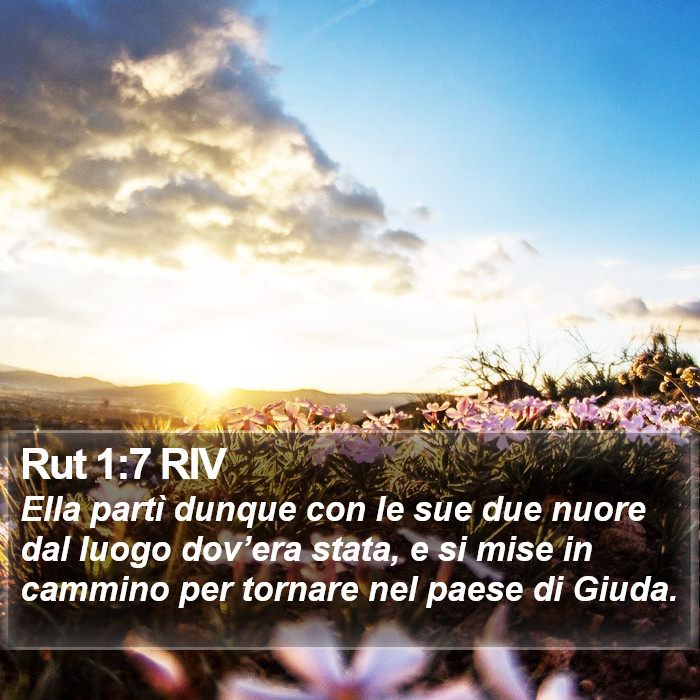 Rut 1:7 RIV Bible Study