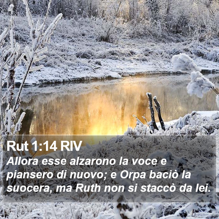 Rut 1:14 RIV Bible Study