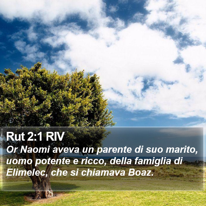 Rut 2:1 RIV Bible Study